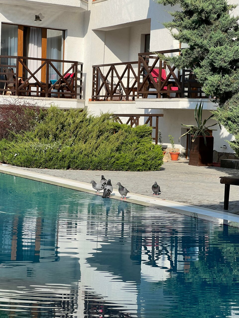 Гостиница Барселона Судак-136