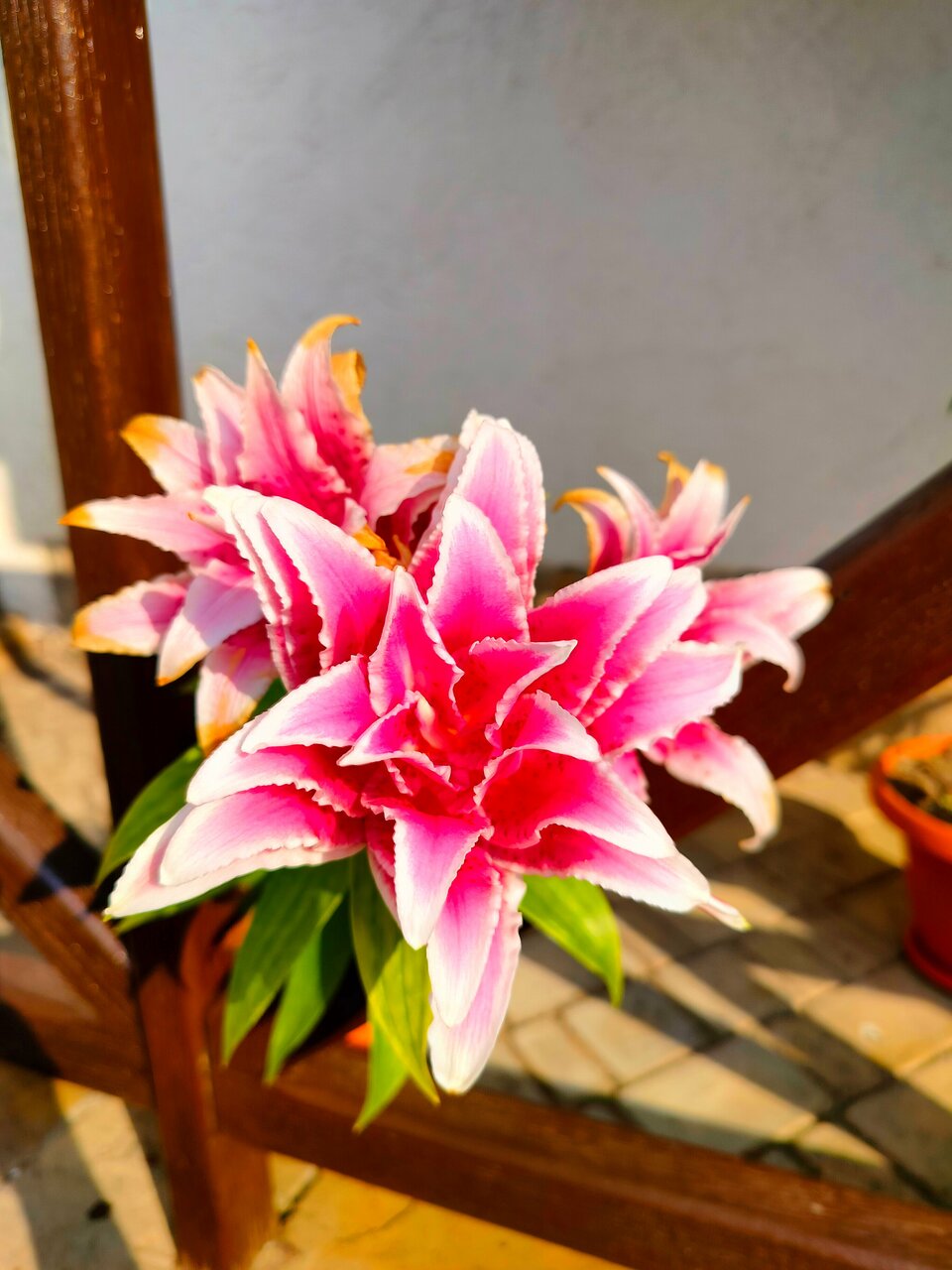 Гостиница Барселона Судак-154