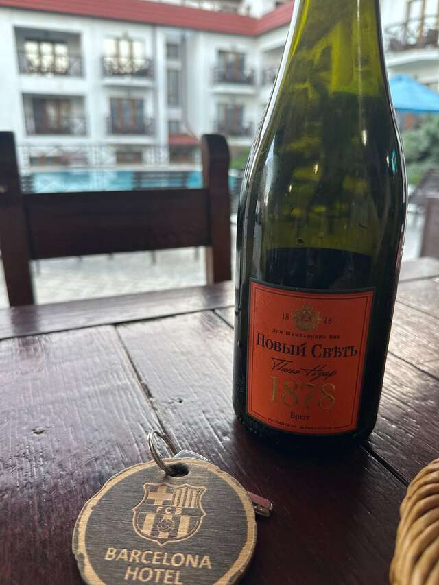 Гостиница Барселона Судак-232