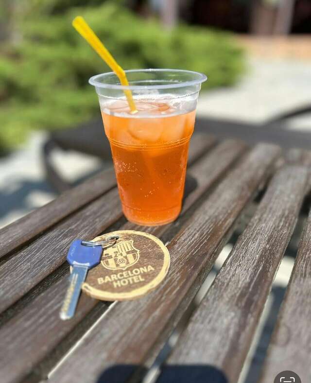 Гостиница Барселона Судак-230